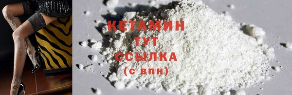 шишки Балахна