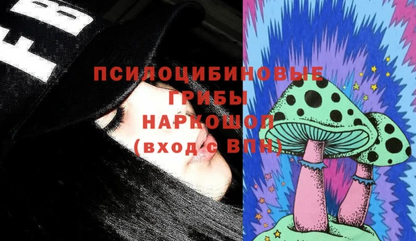 шишки Балахна