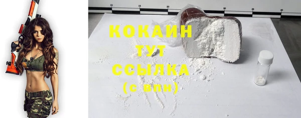 шишки Балахна