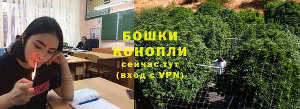 шишки Балахна
